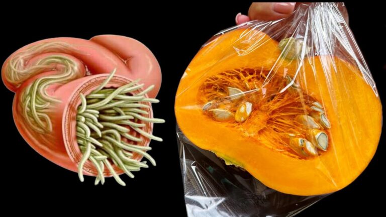 Ein alter Trick, um Parasiten und Giftstoffe im Garten sofort loszuwerden…