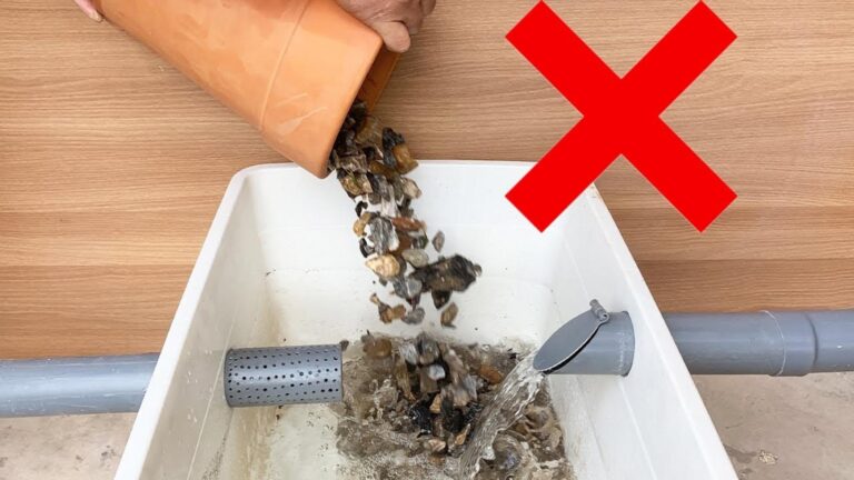 Dieser vergessene Trick verwandelt schmutziges Wasser in sauberes Trinkwasser … einfach