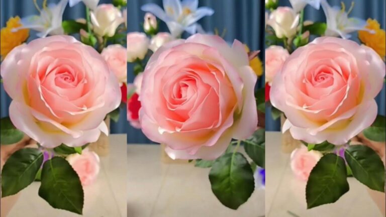 Diese einfache Technik verwandelt gewöhnliche Rosen in traumhafte, pflegende Blumen…