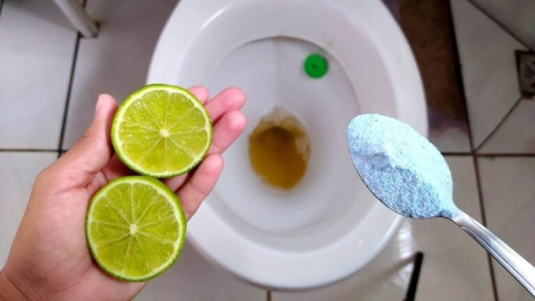 Ein paar Tropfen und Ihre Toilette bleibt wochenlang sauber!