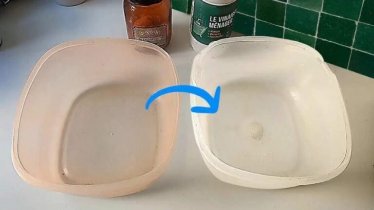 Gelbe Plastikbehälter reinigen: So werden sie wieder strahlend weiß