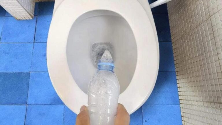 Geruch aus der Toilette: Mit diesem Flaschentrick sofort beseitigen!