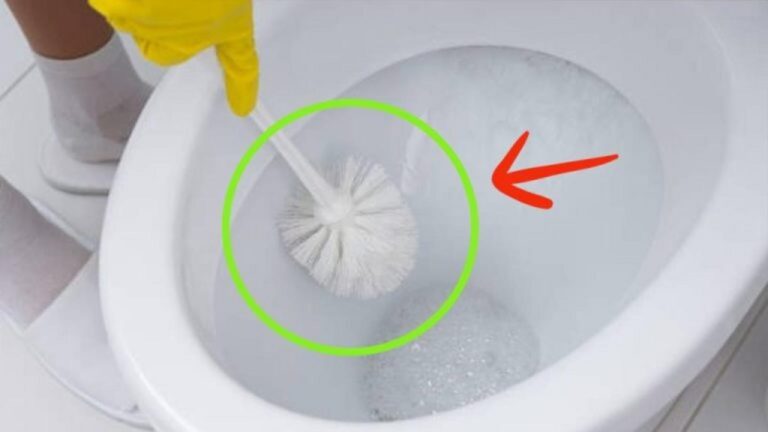 Toilettenbürste reinigen: So wird sie keimfrei und hygienisch