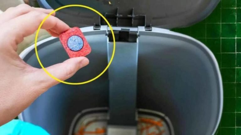 Schlechte Gerüche in der Küche? Mit diesem Trick sofort beseitigen!