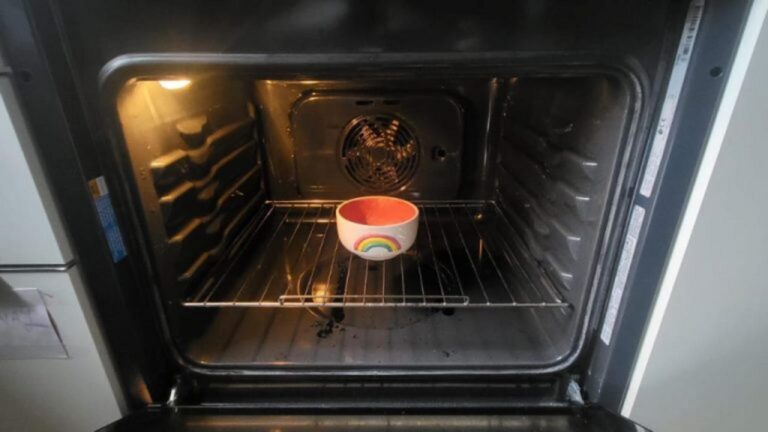 Ofenreinigung über Nacht: So strahlt er am Morgen!