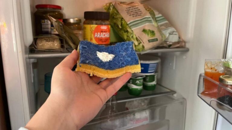 Legt einen Schwamm mit Backpulver in den Kühlschrank – der Grund überrascht!