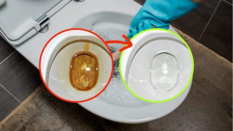 So entfernst du mühelos Dreck und Gelbtöne aus der Toilette!