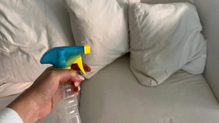 Vinigreise auf dem Sofa: Das Geheimnis für frischen Duft!