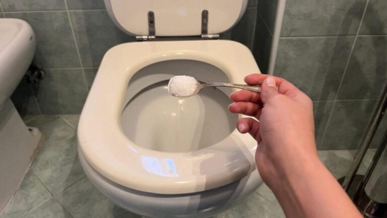 Sauberes Wasser eine Woche lang: Mit dieser geniale Methode!