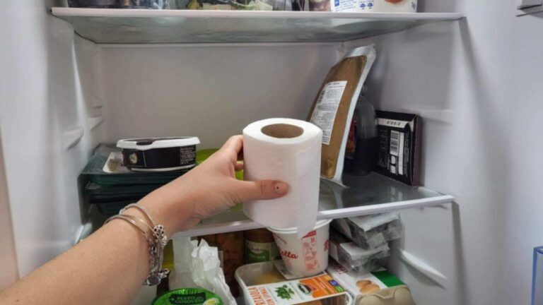 Toilettenpapier im Kühlschrank? Das überraschende Ergebnis!