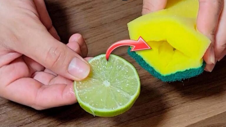Zitrone ins Schwamm legen: Der geheime Küchen-Trick!