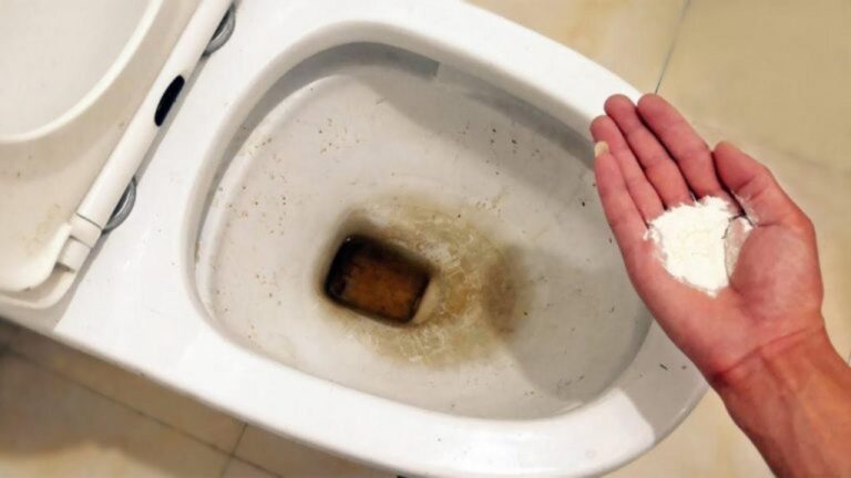 Mit diesem Küchenprodukt glänzen Ihre Toiletten: Der Omas Geheimtipp