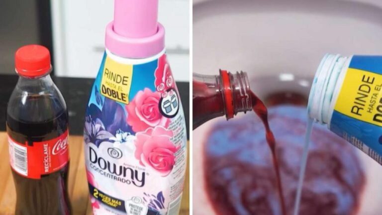 So reinigen Sie Ihre Toilette: Haushaltsmittel für strahlenden Glanz