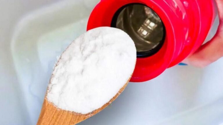 Say goodbye zu stinkenden Thermosflaschen: So beseitigst du den Kaffeegeruch!