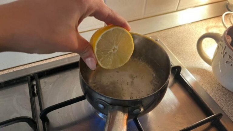 In 10 Minuten dein Zuhause mit einem natürlichen Duft erfrischen