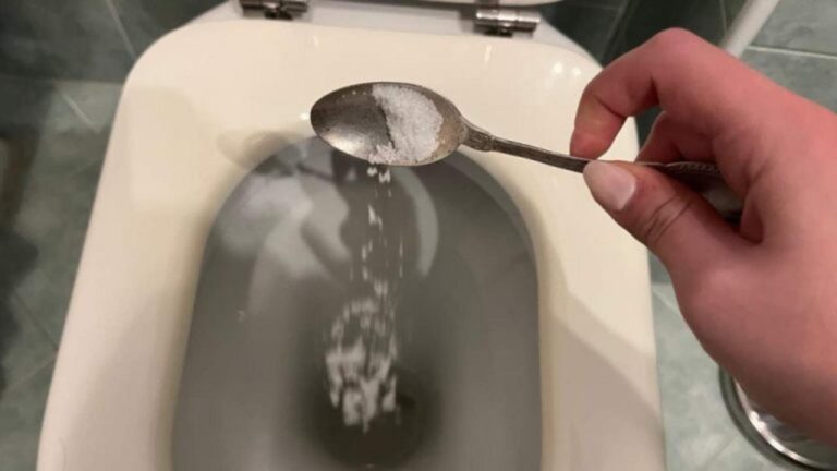 Super saubere Toiletten: Das unverzichtbare Naturmittel!