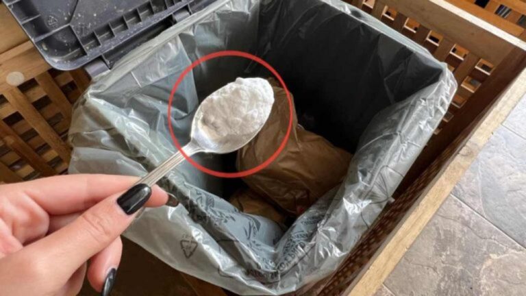 Muffelgerüche im Müll beseitigen: So einfach geht’s!