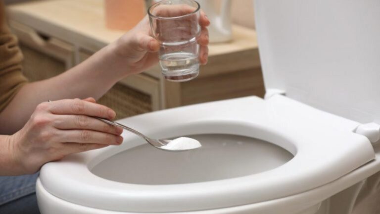 Prickelndes Wasser ganz bequem selbst machen!