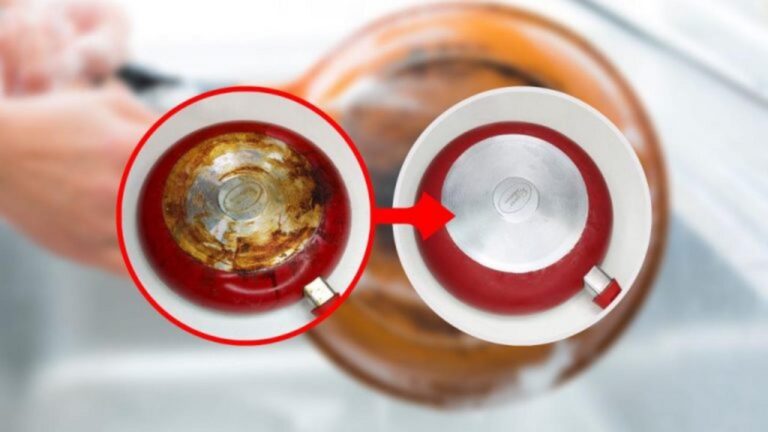 Küchengeräte reinigen: Tipps für müheloses Entfernen von Schmutz