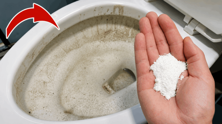 Toilette reinigen mit Waschpulver: Dieser einfache Trick sorgt für neuen Glanz
