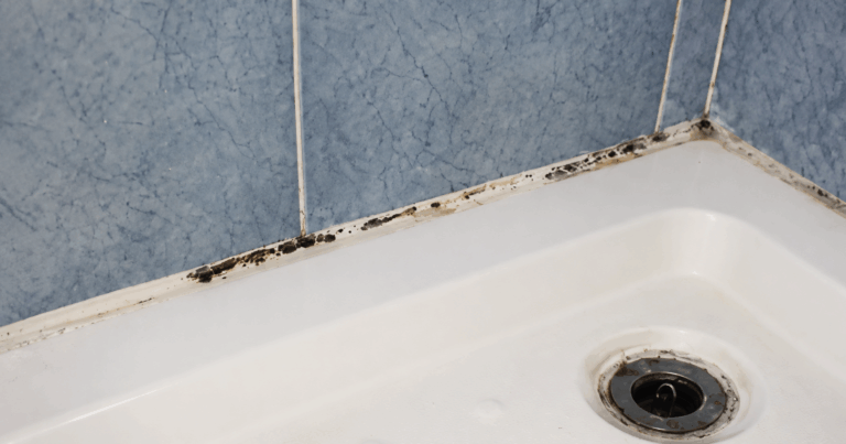 Dusche entkalken und hygienisch reinigen: So geht es richtig