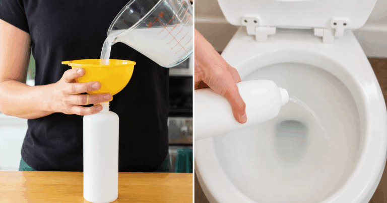 Toilette entkalken und wieder zum Glänzen bringen
